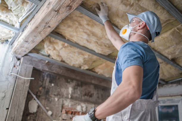 Best Insulation Maintenance and Repair in Hamlin, TX