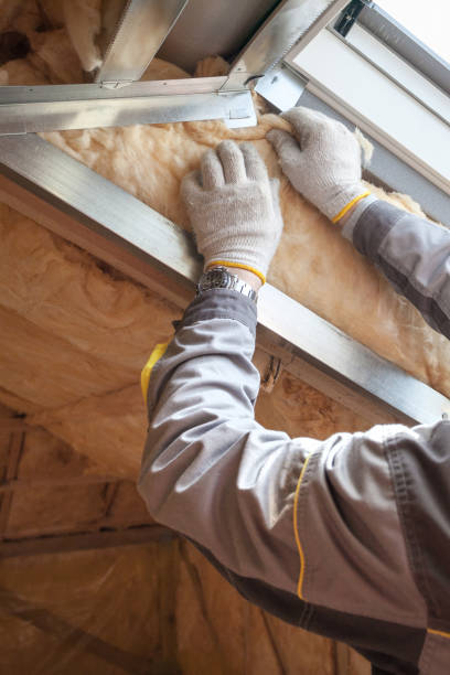 Best Insulation for Specific Applications in Hamlin, TX