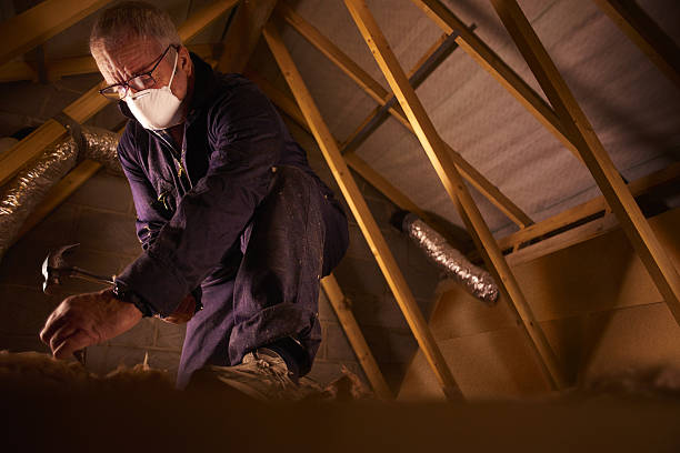 Best Specialty Insulation in Hamlin, TX